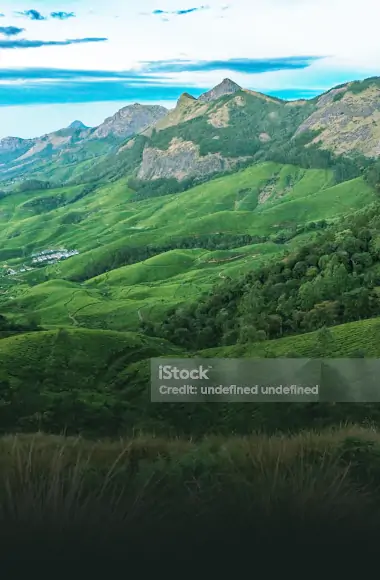 eco_tour