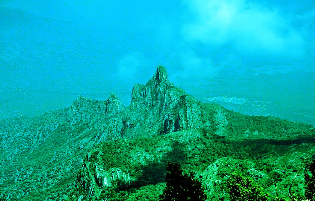 parallax background